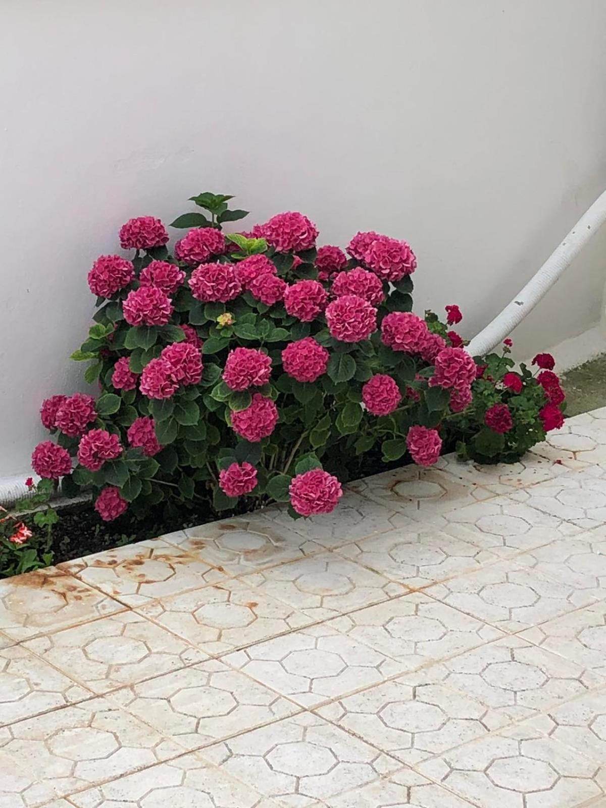شقة Anna'S House Vrasná المظهر الخارجي الصورة